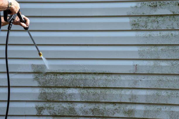 Best Attic Cleanout  in Seymour, WI